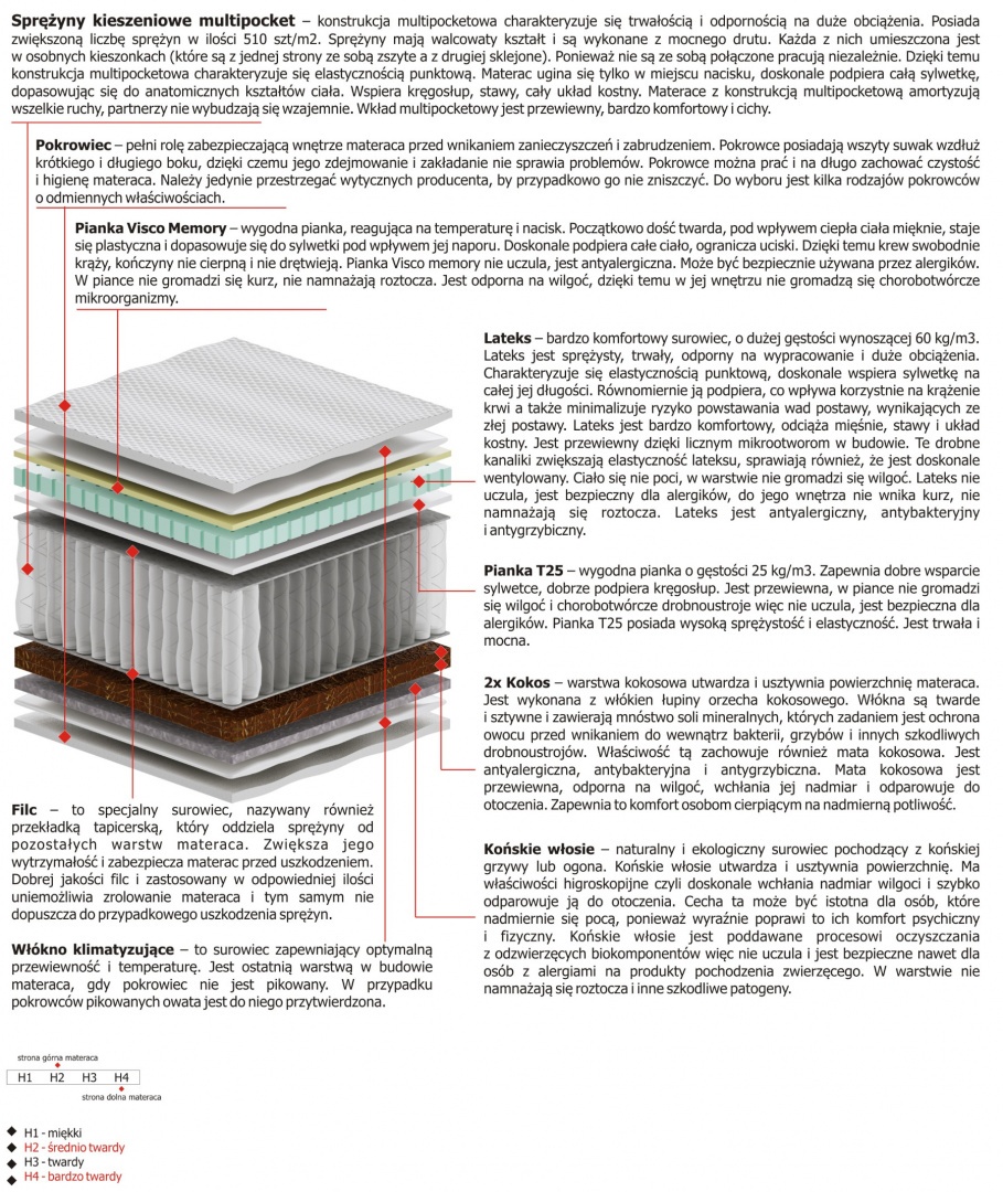 Materac Hektor Multipocket 100x200 cm